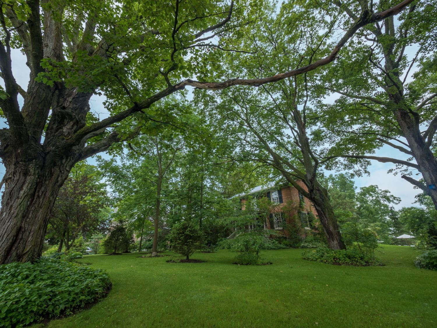 56 King Street Woodville – LoRes (5 of 56)