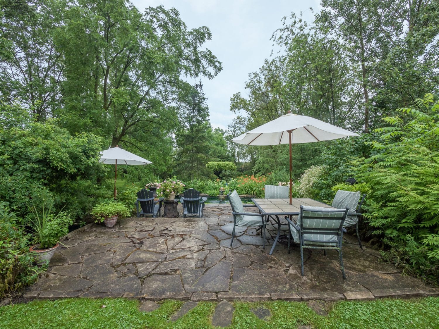 56 King Street Woodville – LoRes (9 of 56)