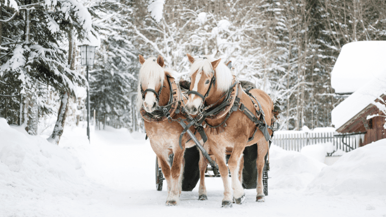 YOU ARE INVITED (20)