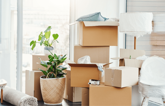 · Induction Cooktops with Smart Sensors – (7)